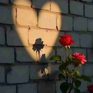 Raghad Obaid