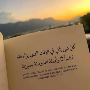 زينة المناصير