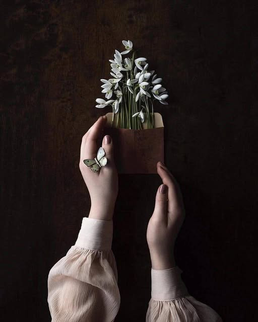 Doaa Hamadeh