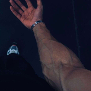 علي القديمات