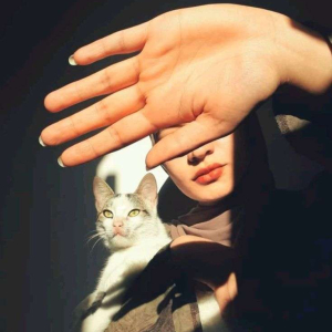 دانا الكيلاني