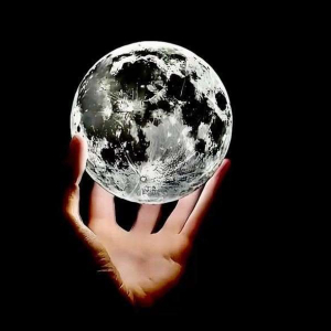 ahmmad الربايعة