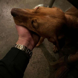 حاتم الجزازي