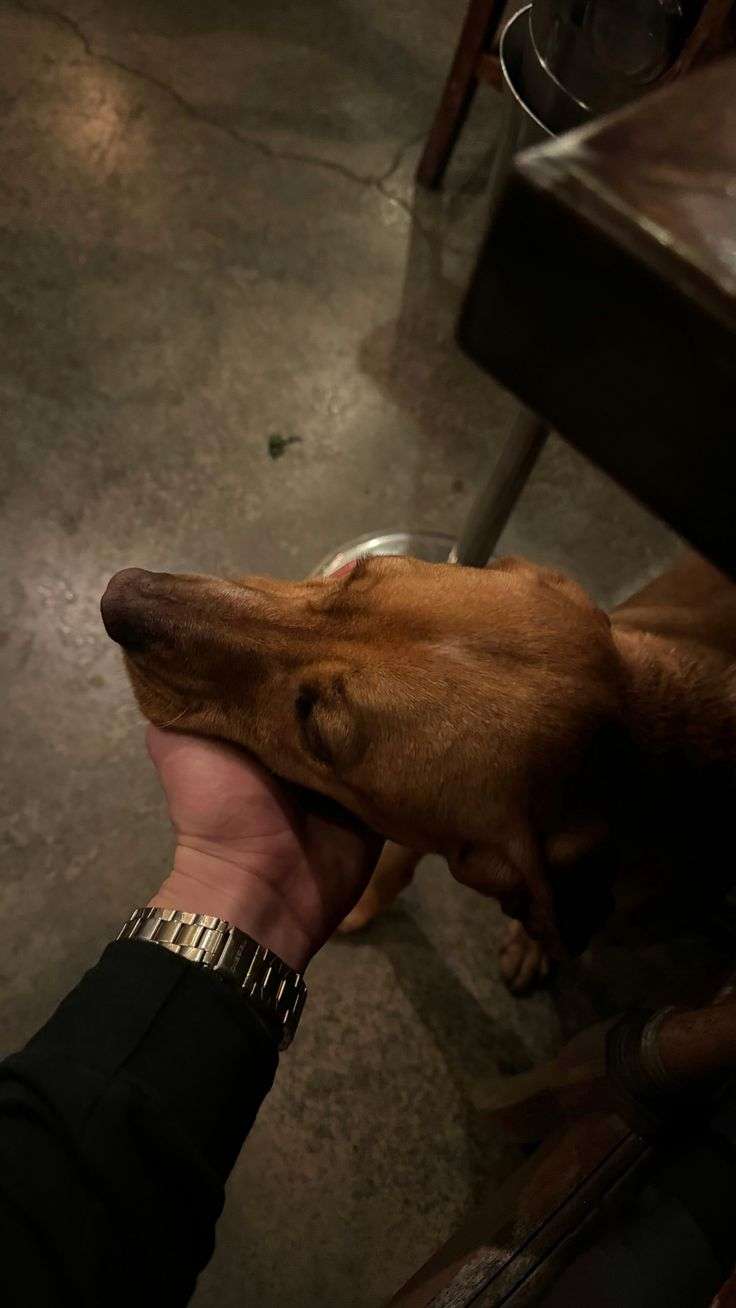 حاتم الجزازي