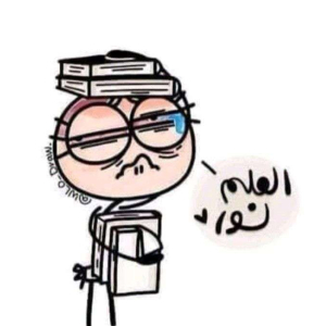 الاستاذ رائد