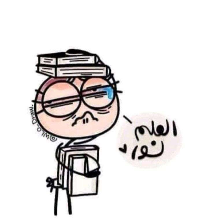 الاستاذ رائد