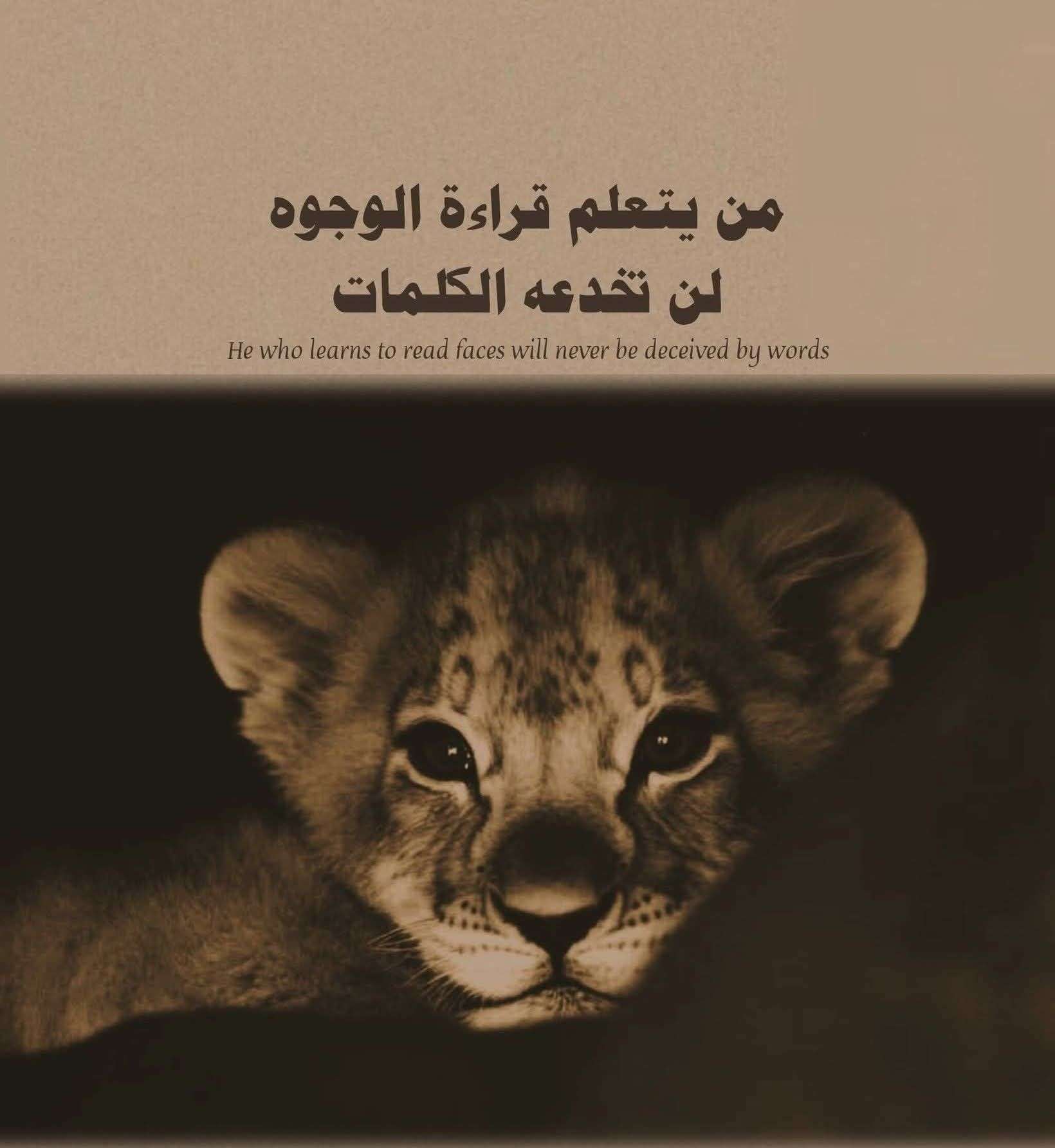 رند محسن