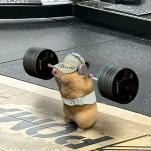 زايد المساعفة