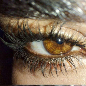 سارة العناني