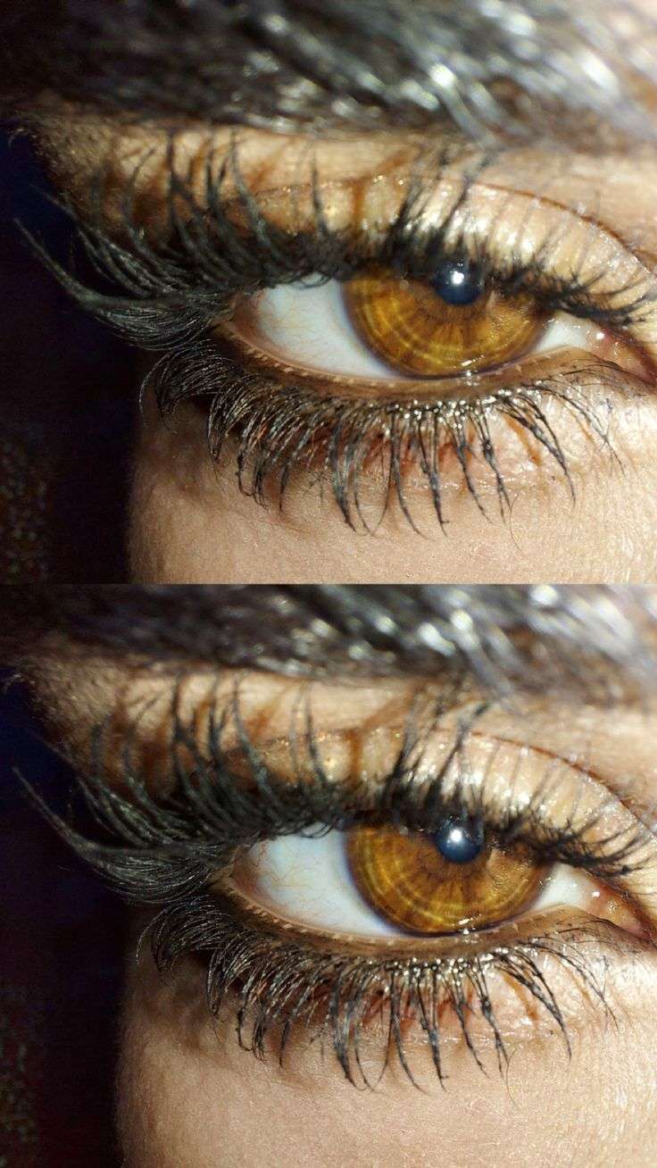 سارة العناني