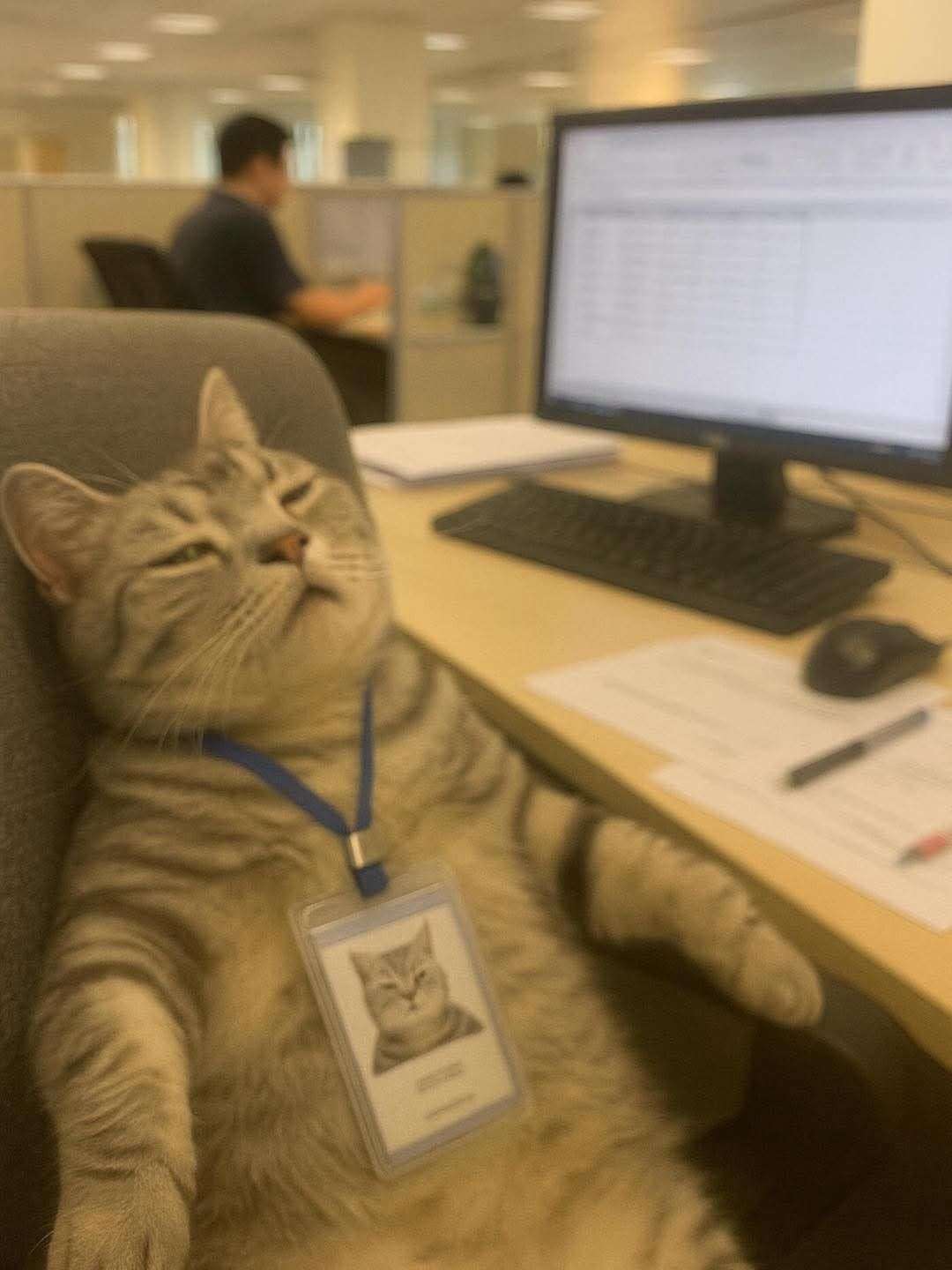 نادين العناني