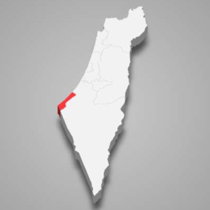 ناصر القضاة