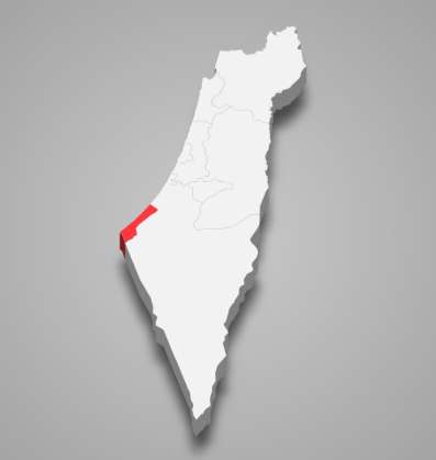 ناصر القضاة